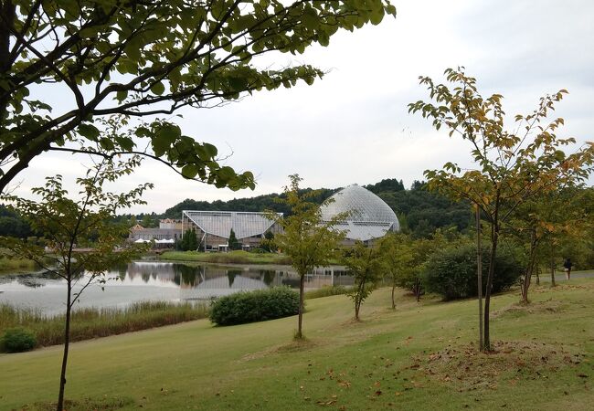 新潟県立植物園 クチコミ アクセス 営業時間 新津 白根 フォートラベル