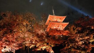 《清水寺》定番の