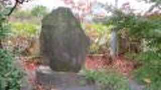 スッポンに感謝