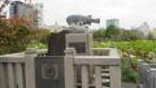 可愛らしいふぐ