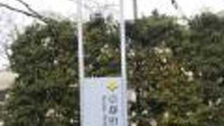 岡崎にある図書館