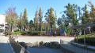 スポーツセンターがある公園