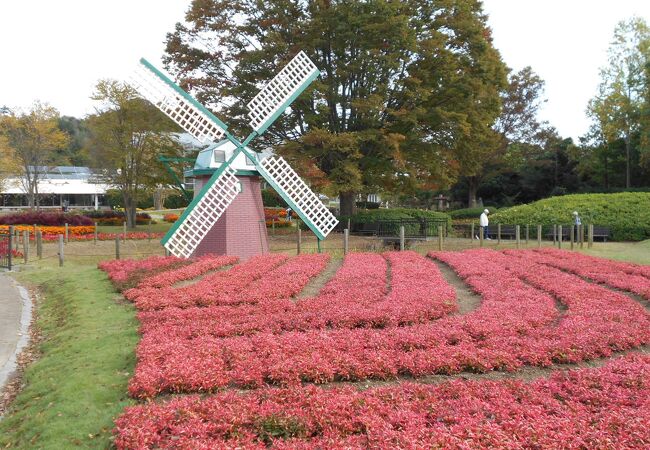 加西市にある規模の大きな植物園