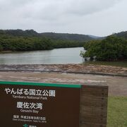 沖縄県最大級のマングローブ