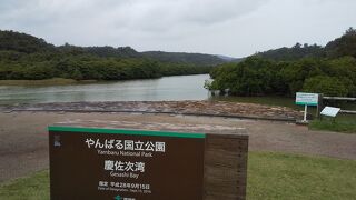 沖縄県最大級のマングローブ