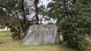 憩いの場になっていました