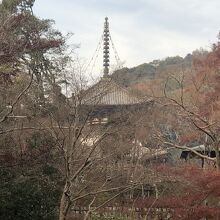 紅葉の根来寺