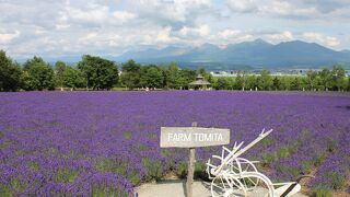 富良野観光でははずせない