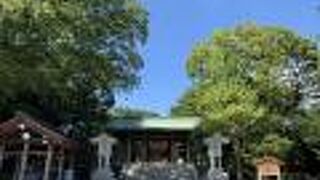 竹下通りの裏手