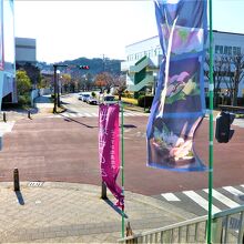 大通り沿いです