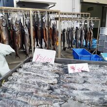 魚市場近くに出ていた塩鮭や新巻き鮭の路上販売店。