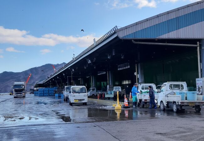 宮古市魚市場