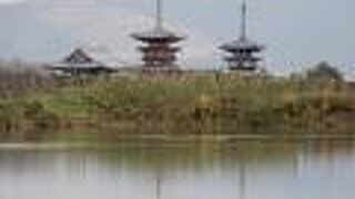 昔から有名な薬師寺の撮影スポットです