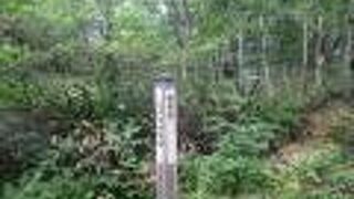 初めて行きました