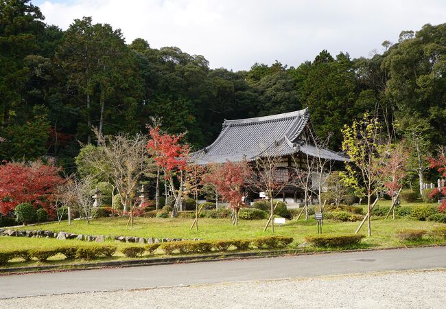 南山城国宝巡礼～観音寺(普賢寺大御堂) 