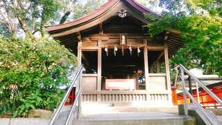(香椎宮武内神社)長寿だった様です