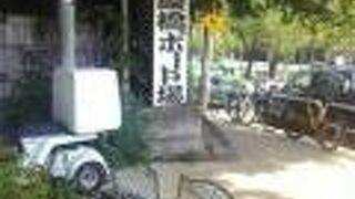 散歩におすすめです