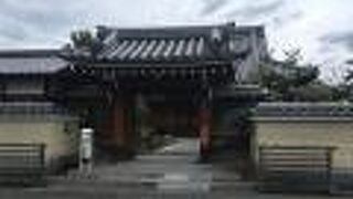 百日紅が咲いていた