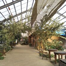 サンドロップス