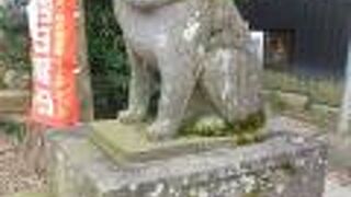 狛犬さまがダントツ可愛い！天井画もあるよ