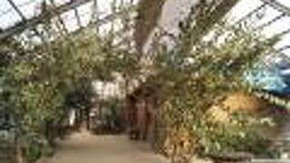 愛犬とのんびりと休日を