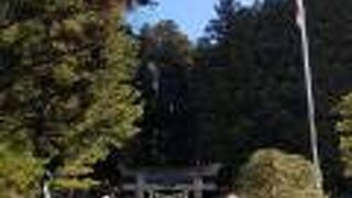 「神への誘い」高山日枝神社