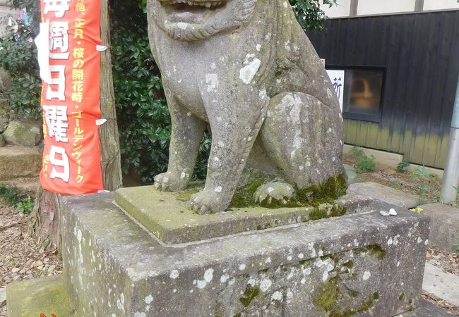 狛犬さまがダントツ可愛い！天井画もあるよ