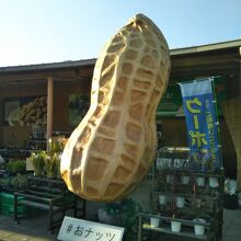 大人気・おナッツ