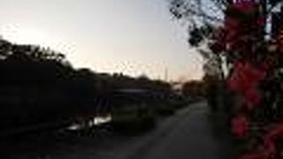 綺麗な姿の木橋です