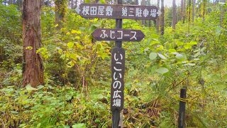 登山路が楽しいです