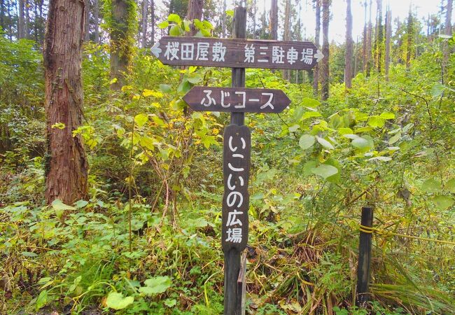 登山路が楽しいです