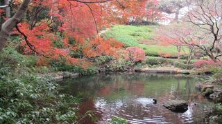 池を中心とした回遊式庭園