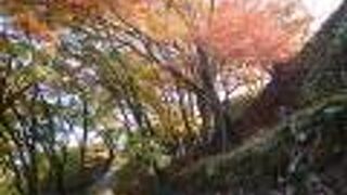 雰囲気も景色も最高