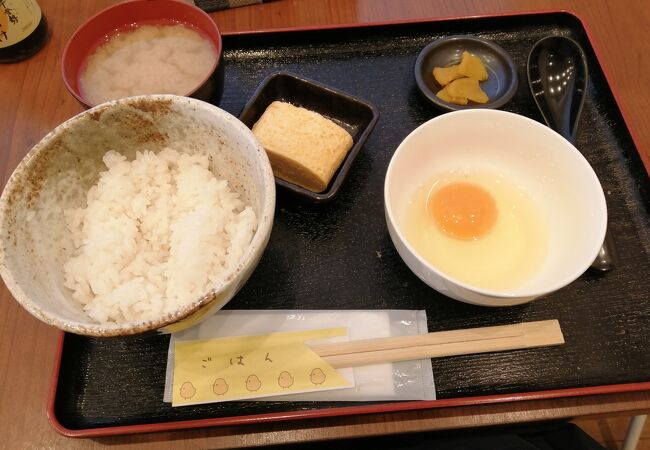 たまご卵タマゴ