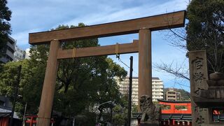 木々に囲まれる