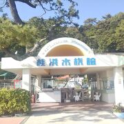 ローカルの小さな水族館ですが面白い