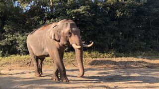 ディズニーのようなこだわり⁈