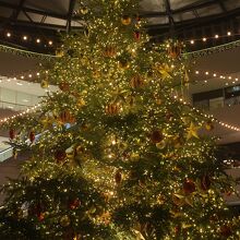 お店の前にあったクリスマス・ツリー