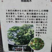 満足稲荷神社