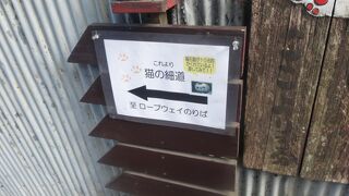 おしゃれなカフェが多いです。