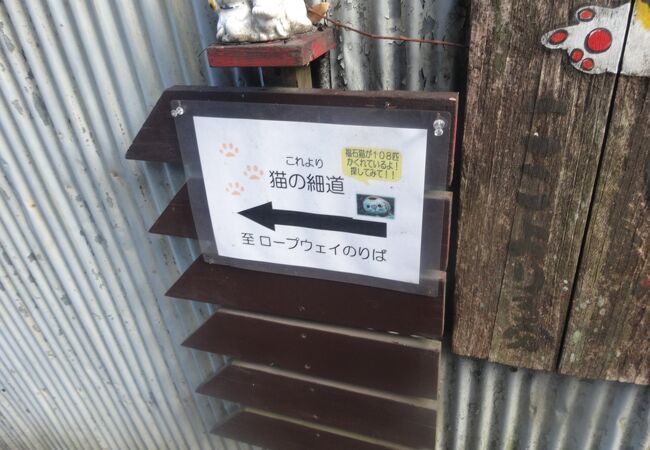 尾道 猫の細道 クチコミ アクセス 営業時間 尾道 フォートラベル