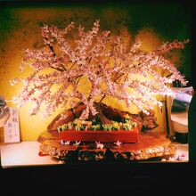 店長作、小さい折り鶴で作られた桜の木