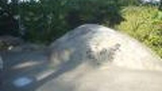 尾道ゆかりの作家や詩人の碑が並んでいます。