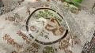 職場のランチで