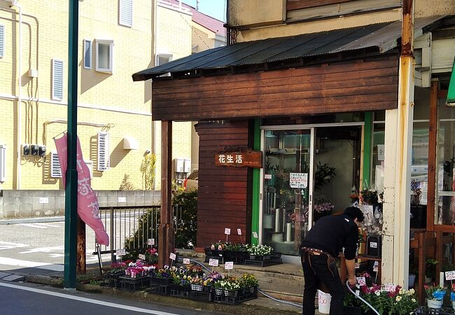 冬でも季節の花々を豊富に揃えてました