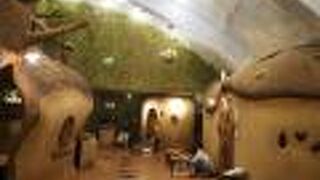 Cat Cafe てまりのおうち