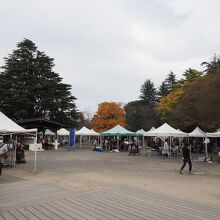 昭和記念公園 バーベキューガーデン