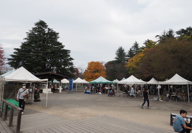 昭和記念公園 バーベキューガーデン クチコミ アクセス 営業時間 立川 フォートラベル