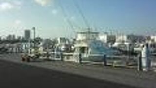 ショートクルーズ