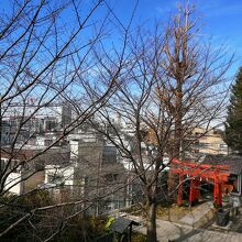 結構高台にあります